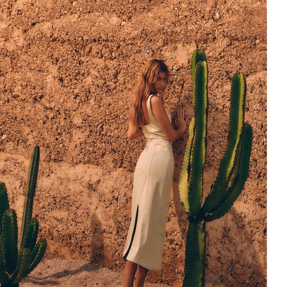 Zara Beige Midi Dress - Picture 5 of 8